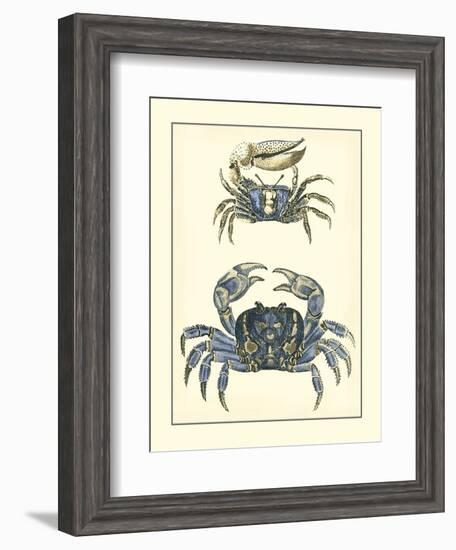 Antique Blue Crabs II-Vision Studio-Framed Art Print