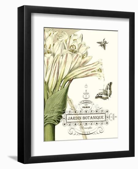 Jardin Botanique II-Vision Studio-Framed Art Print