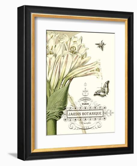 Jardin Botanique II-Vision Studio-Framed Art Print