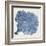 Sea Fan V-Vision Studio-Framed Art Print