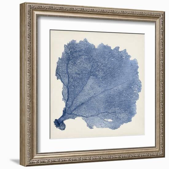 Sea Fan V-Vision Studio-Framed Art Print