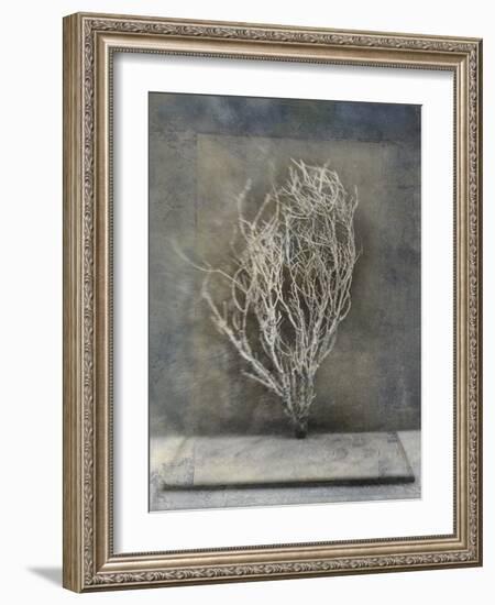 Desert Form III-Elena Ray-Framed Art Print