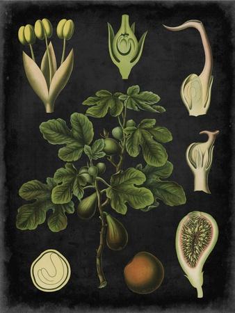 Premium Giclee Print, , small