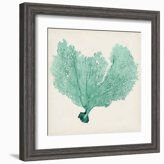 Sea Fan VI-Vision Studio-Framed Art Print