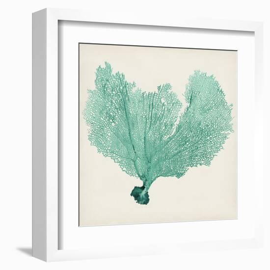 Sea Fan VI-Vision Studio-Framed Art Print