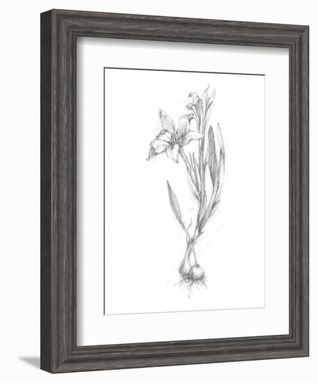 Botanical Sketch I-Ethan Harper-Framed Art Print