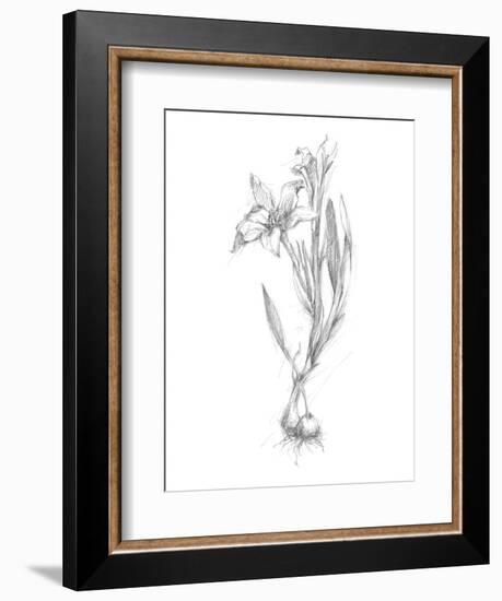 Botanical Sketch I-Ethan Harper-Framed Art Print