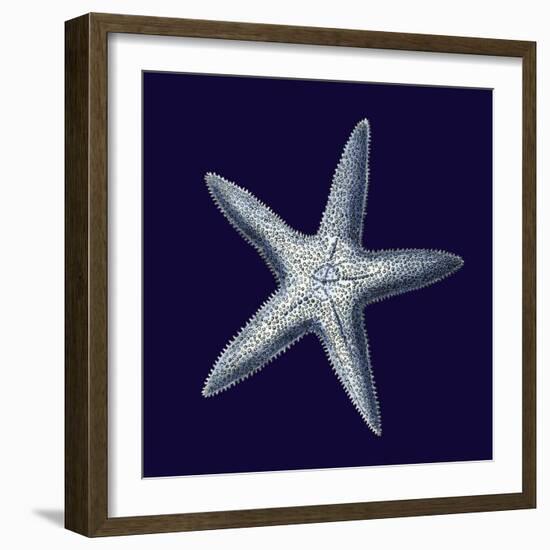 Indigo Shells IV-Vision Studio-Framed Art Print