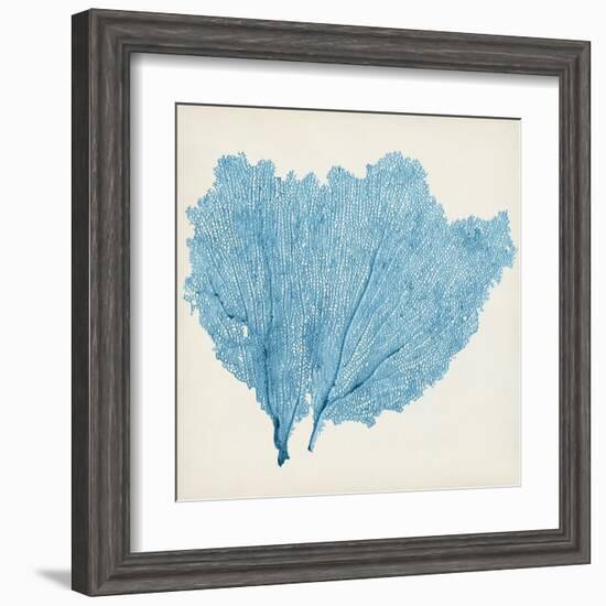 Sea Fan IV-Vision Studio-Framed Art Print