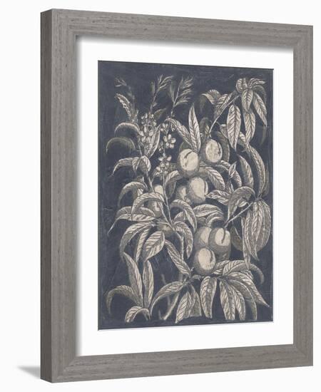 Vintage Fruit and Floral II-Megan Meagher-Framed Art Print