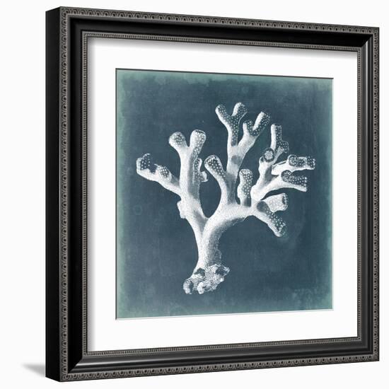 Azure Coral II-Vision Studio-Framed Art Print