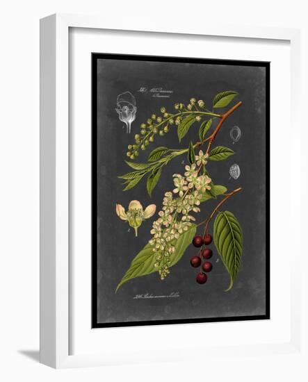 Midnight Botanical II-Vision Studio-Framed Art Print