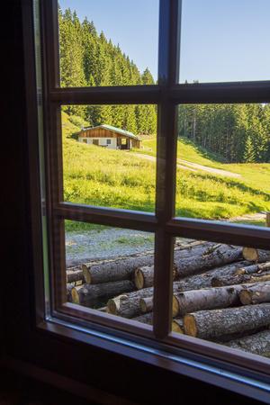 Premium Photographic Print, , small