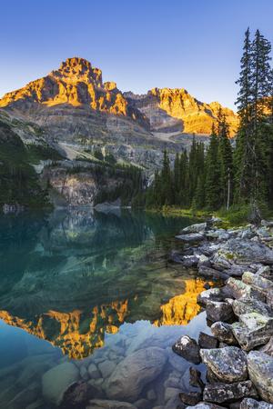 Premium Photographic Print, , small