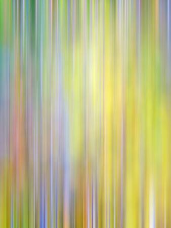 Premium Photographic Print, , small