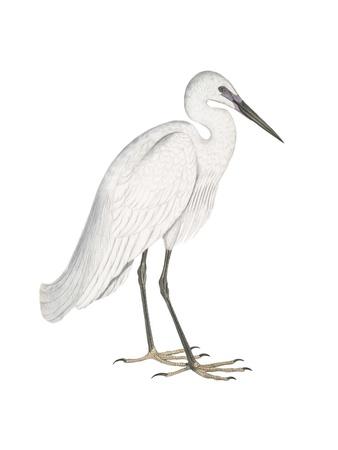 Premium Giclee Print, , small