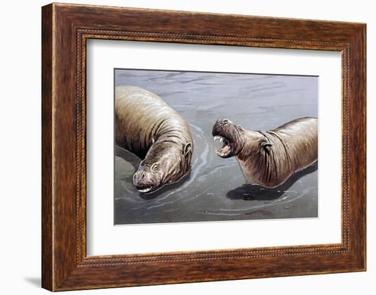 Moeritherium-null-Framed Photographic Print