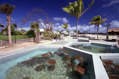 Photographic Print, , small