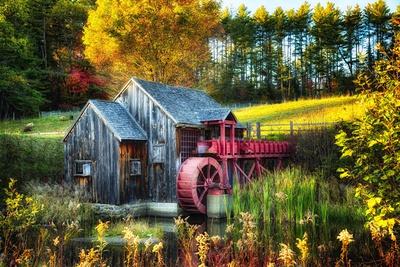 Premium Photographic Print, , small
