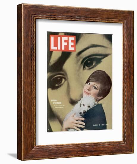 Barbra Streisand, March 18, 1966-Bill Eppridge-Framed Photographic Print