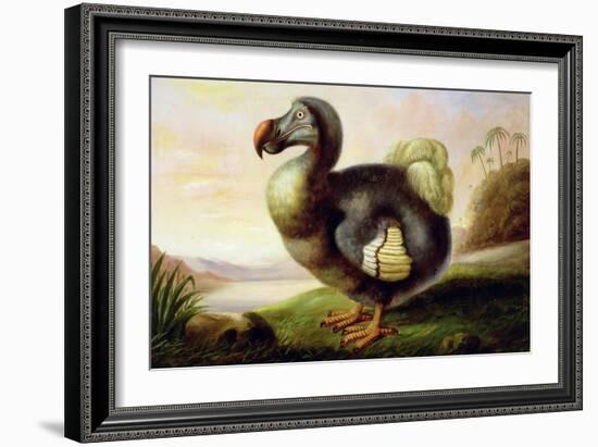 Study of a Dodo-F Hart-Framed Giclee Print