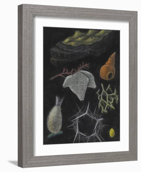 Sponges-Philip Henry Gosse-Framed Giclee Print