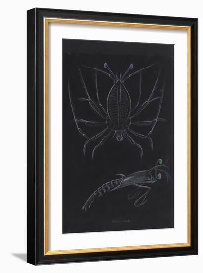 Glass Crabs-Philip Henry Gosse-Framed Giclee Print