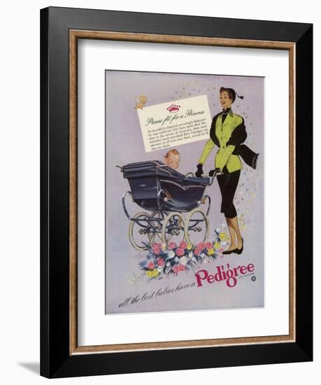 Pedigree, Magazine Advertisement, UK, 1952-null-Framed Giclee Print