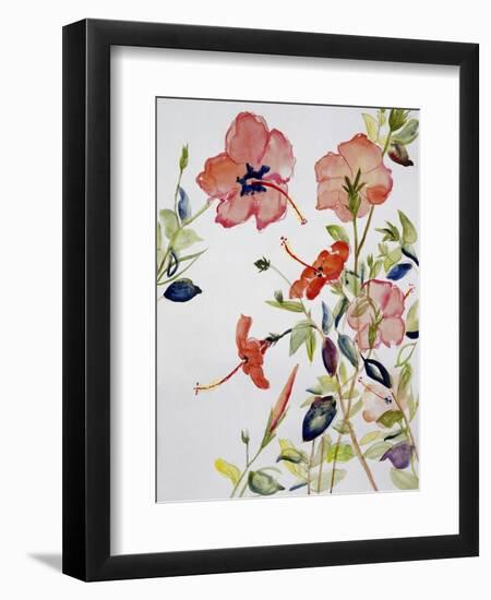 Hibiscus Flowerpiece-Sir Roy Calne-Framed Giclee Print