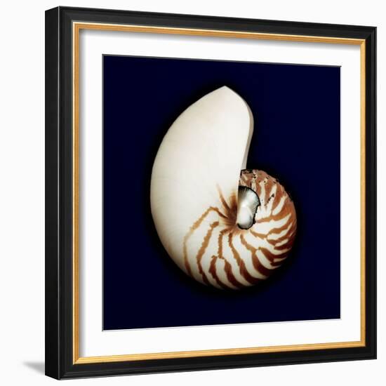 Ocean Blue 5-Julie Greenwood-Framed Art Print