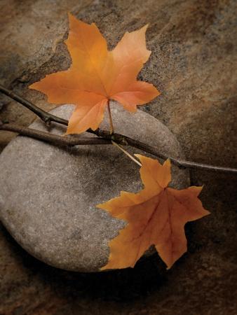 Premium Giclee Print, , small