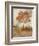 Sun Dappled Tree-Ken Roko-Framed Art Print