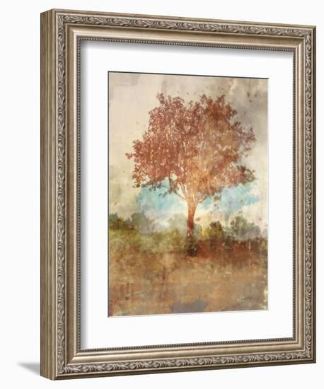 Sun Dappled Tree-Ken Roko-Framed Art Print