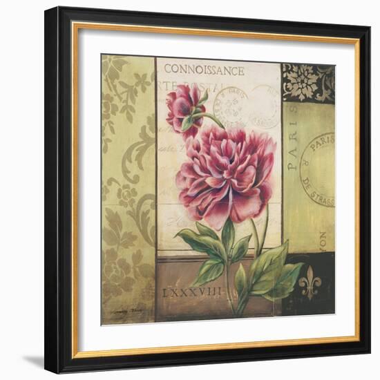 Le Jardin Secret II-Kimberly Poloson-Framed Art Print