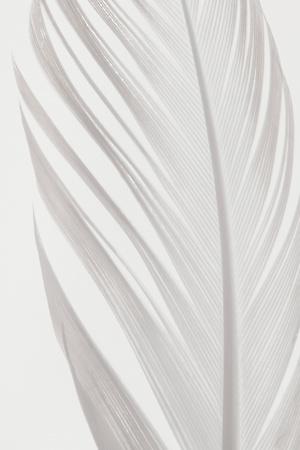 Premium Photographic Print, , small
