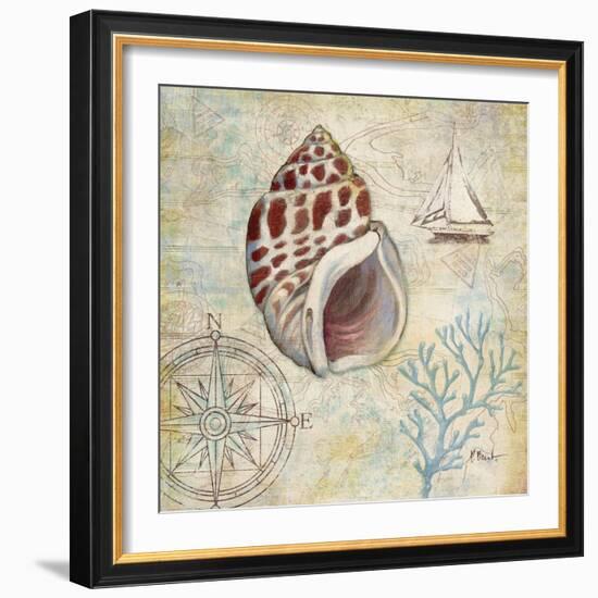 Discovery Shell IV-Paul Brent-Framed Art Print