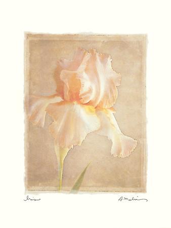 Premium Giclee Print, , small