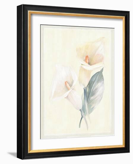 Calla Lily IV-Paul Hargittai-Framed Art Print