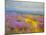 Field of Lavenders 2-Vahe Yeremyan-Mounted Art Print