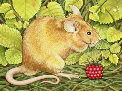 Premium Giclee Print, , small