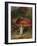 Stag Beetle on a Toadstool, 1928-Archibald Thorburn-Framed Giclee Print