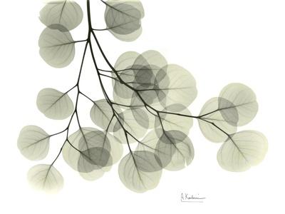 Premium Giclee Print, , small