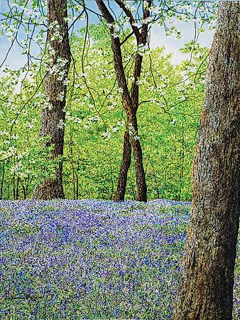 Premium Giclee Print, , small