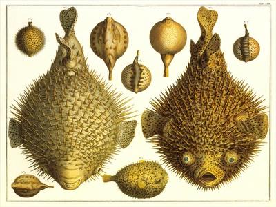 Premium Giclee Print, , small