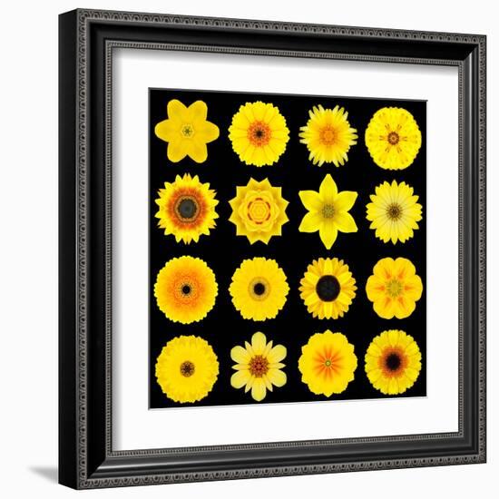 Big Collection of Various Yellow Pattern Flowers-tr3gi-Framed Art Print