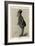 Mayer a de Rothschild-Carlo Pellegrini-Framed Art Print