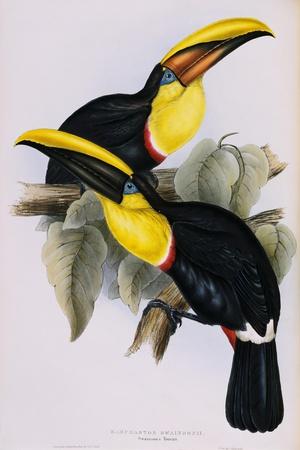 Giclee Print, , small