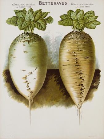Premium Giclee Print, , small