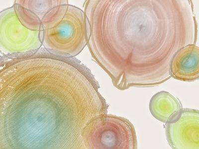 Premium Giclee Print, , small