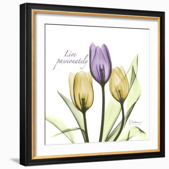 Passionately Tulip-Albert Koetsier-Framed Art Print